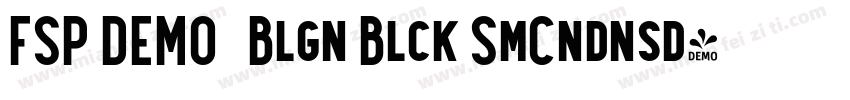 FSP DEMO   Blgn Blck SmCndnsd字体转换